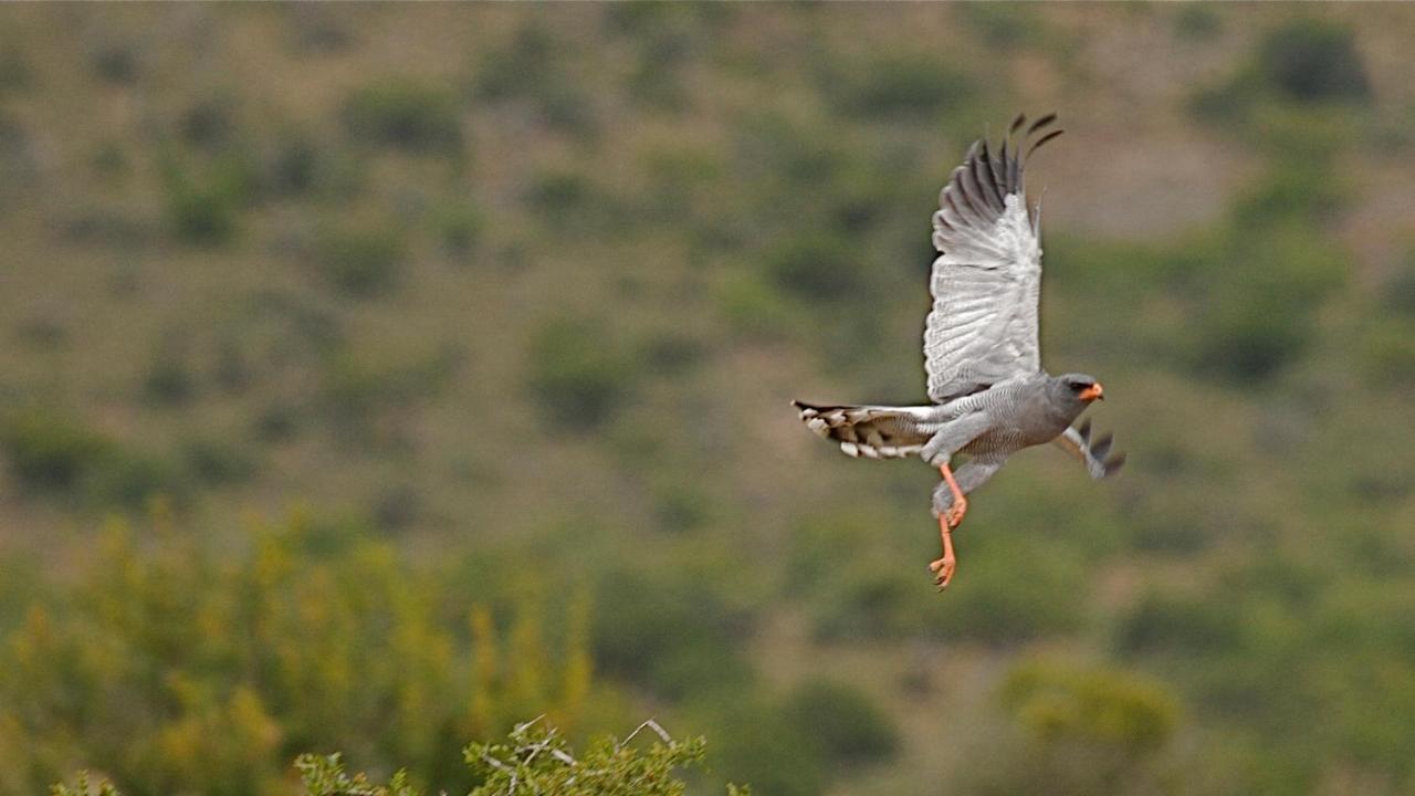 Mount Camdeboo Private Game Reserve By Newmark Graaff-Reinet Екстериор снимка