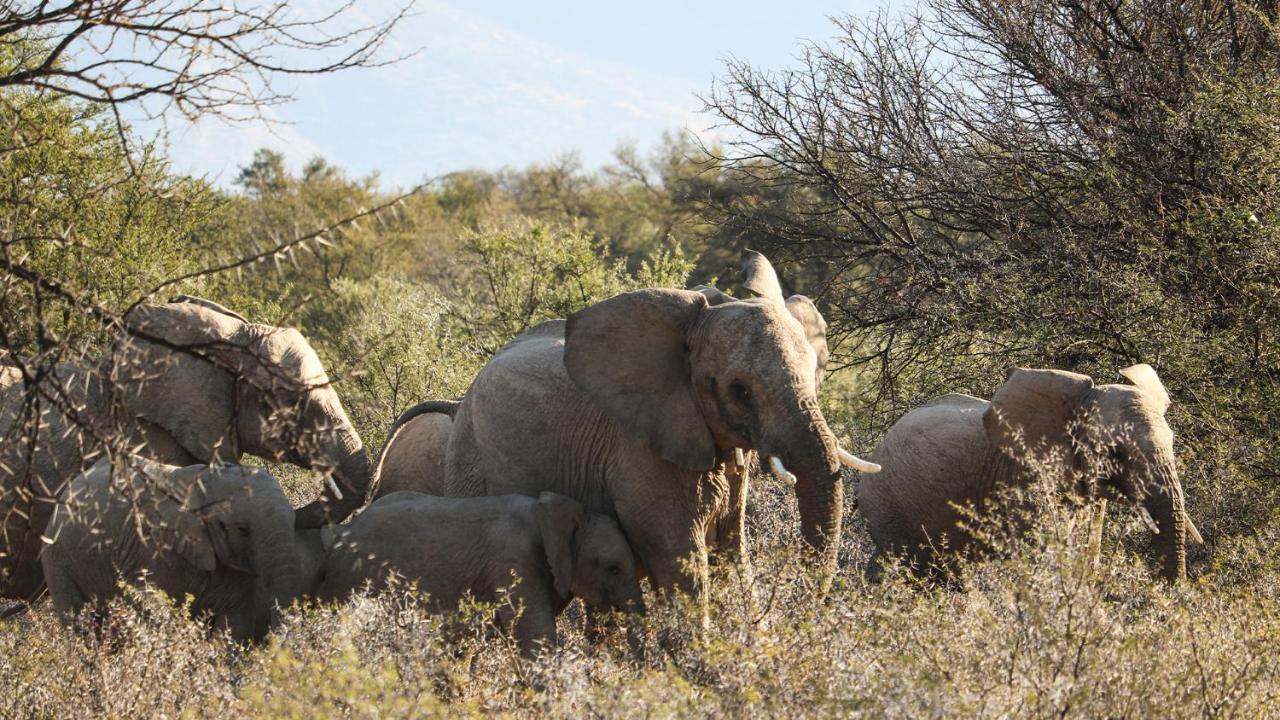 Mount Camdeboo Private Game Reserve By Newmark Graaff-Reinet Екстериор снимка